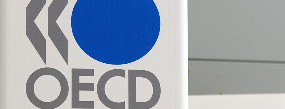 OECD Previews Peer Review Process for Global Minimum Tax Laws