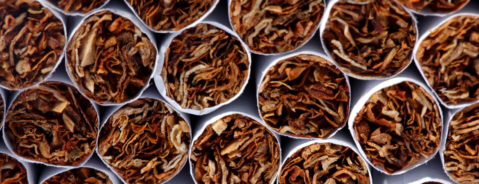 tobacco stabilization lawsuit Lawsuits Puff Along in Florida Former Tobacco Stabilization Coop to