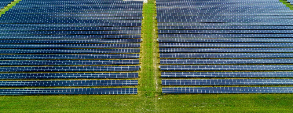 Canada Aims to Shrink Green Tax Credit Backlog With Hiring Spree